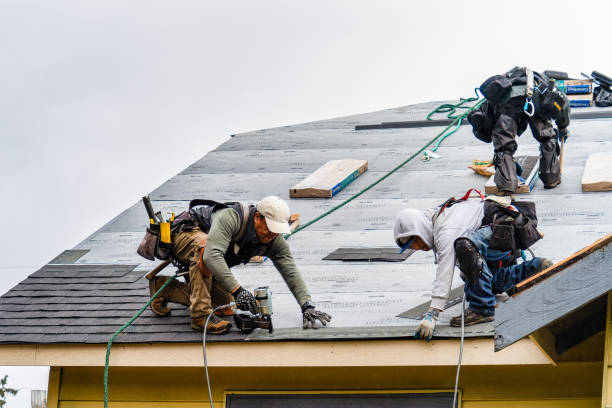 Professional Roof Repair technician working in Beaverton, MI